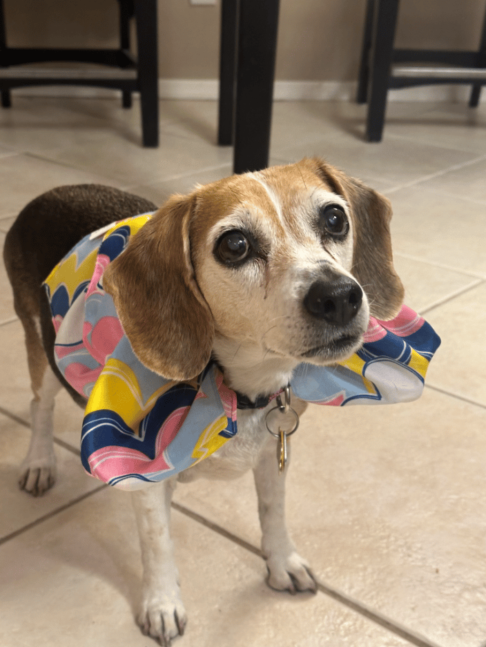 Bug's birthday - turning 15!