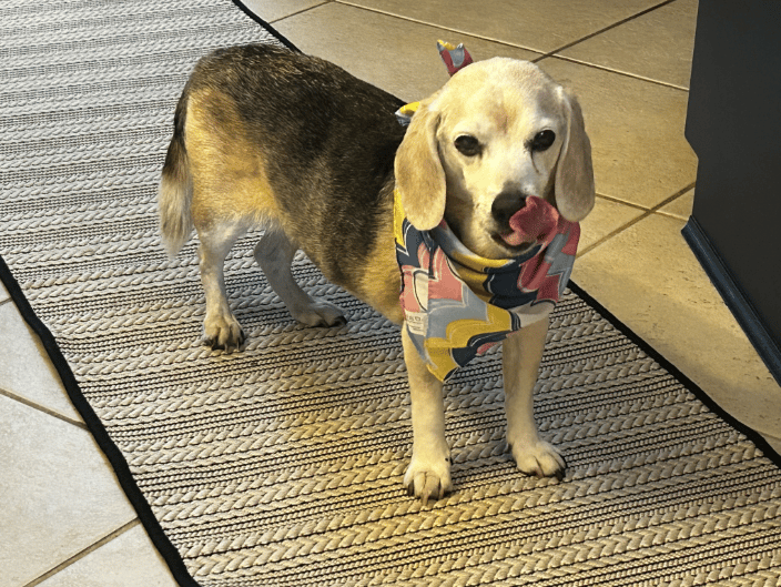 Duncan's birthday - turning 15!