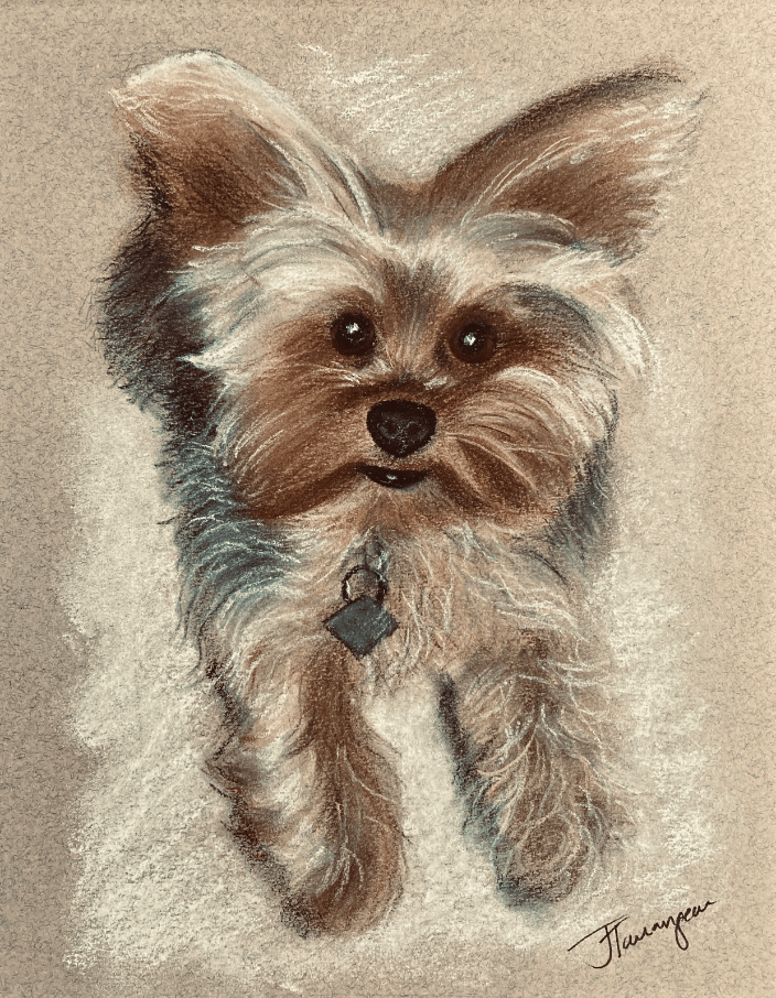 Pastel painted yorkie