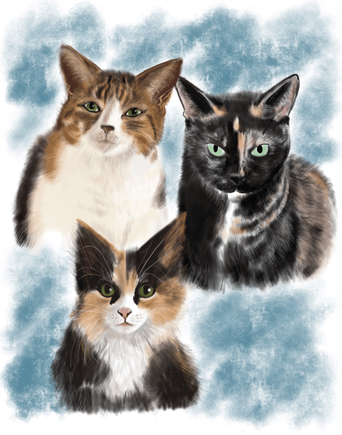 Digitally printed kitties