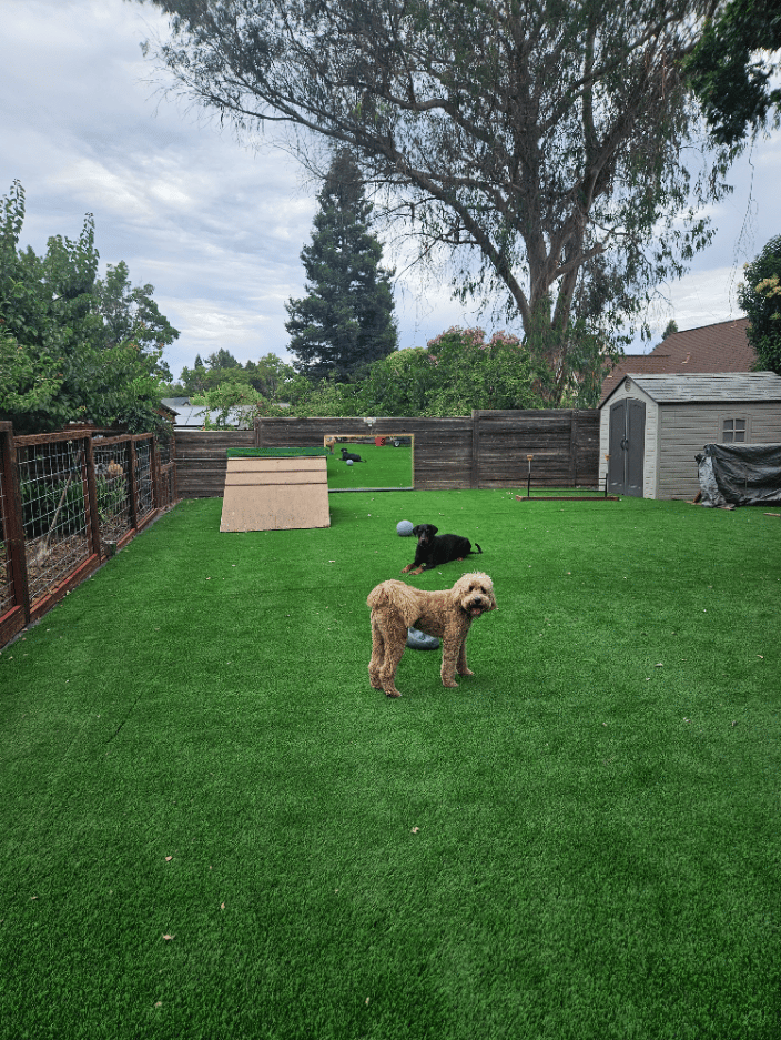 1900 sq ft training field