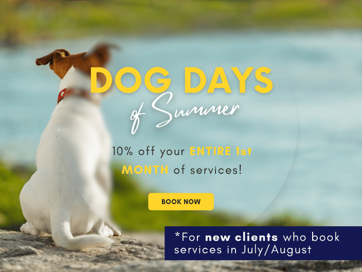 summer promo