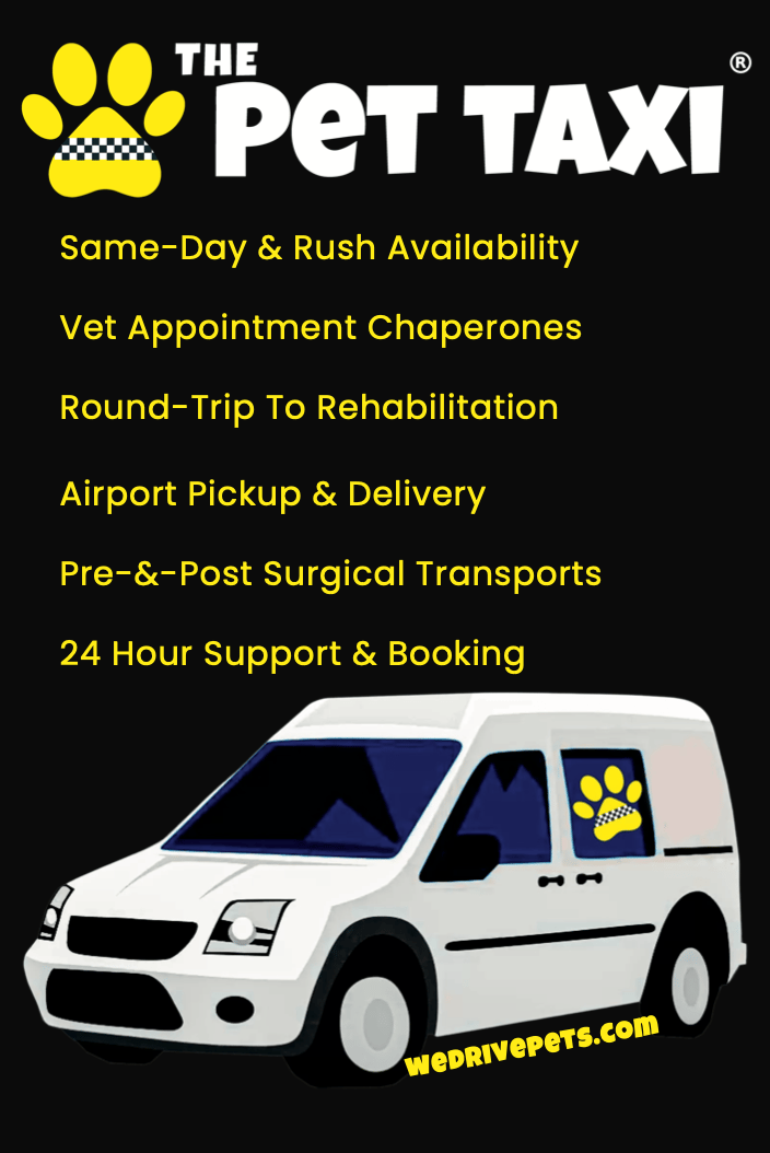 The Pet Taxi Service