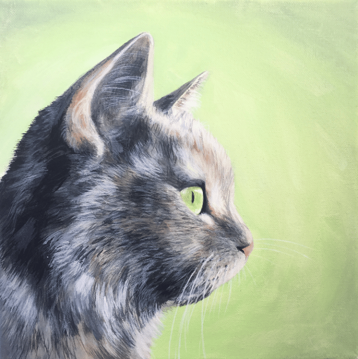 cat pet portrait
