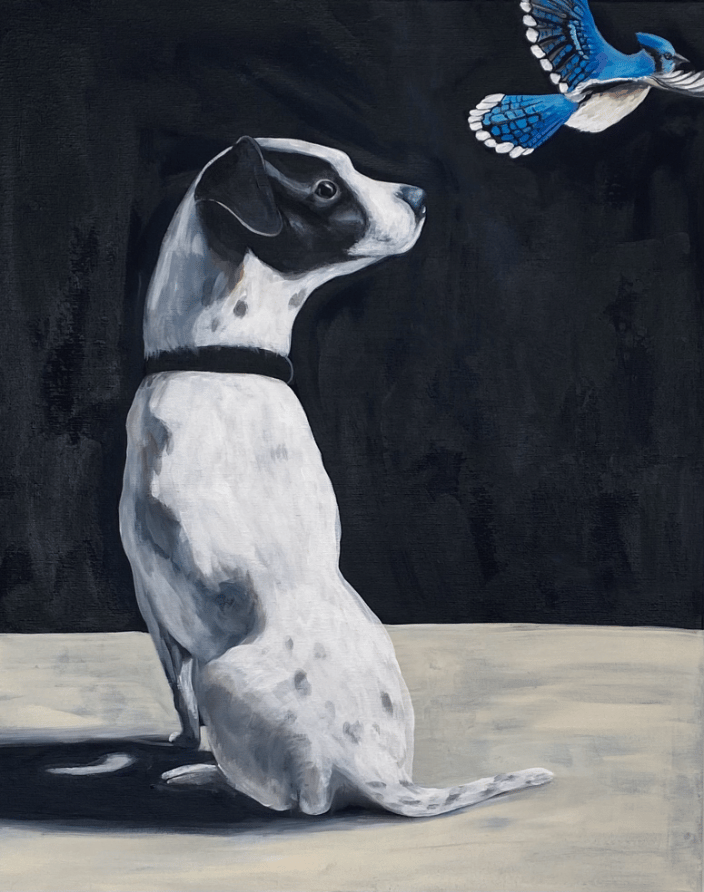 pet portrait with bluejay