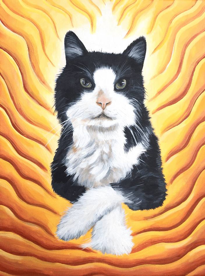 trippy cat 