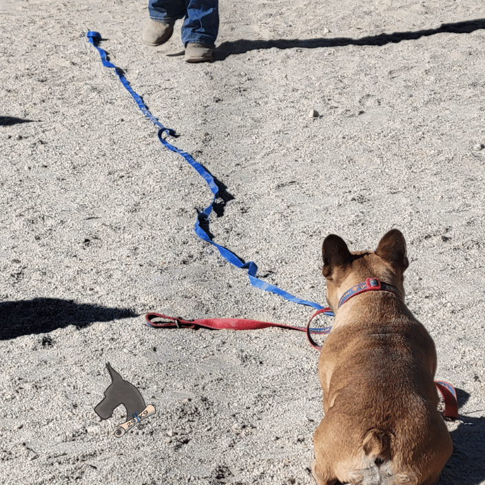 Cherry working on her stays.