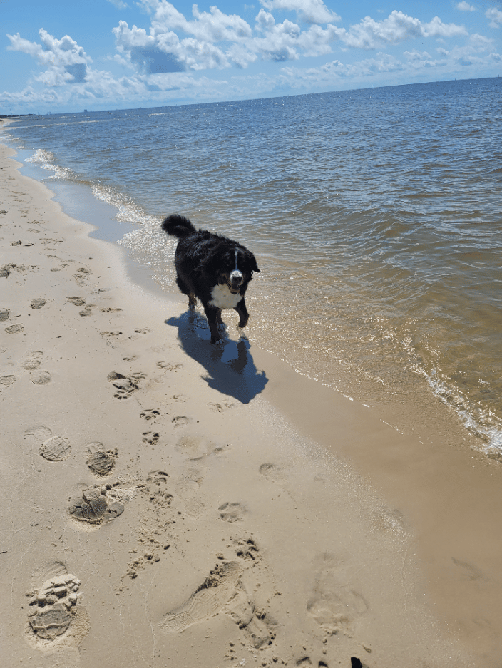 Kona CO to FL