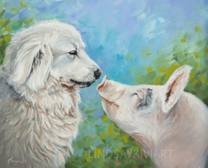 Great Pyrenees & Pig