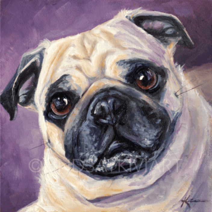 Pug