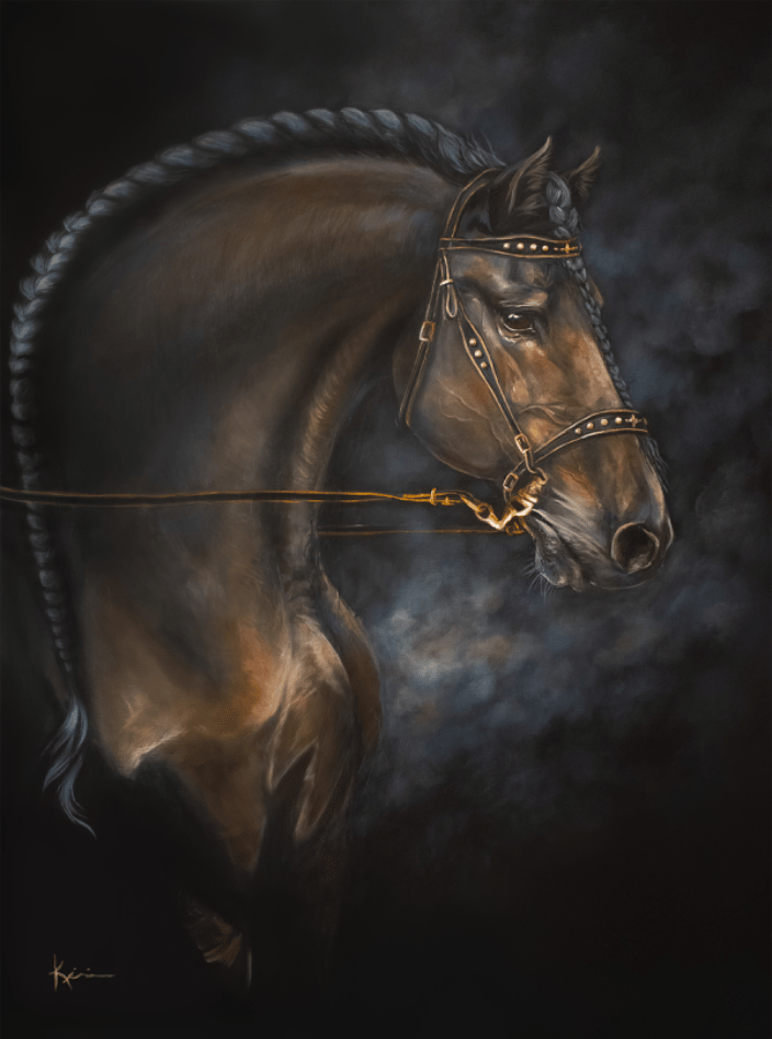 Friesian Stallion