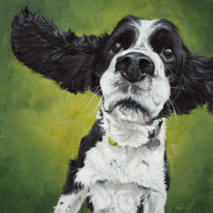 Spaniel