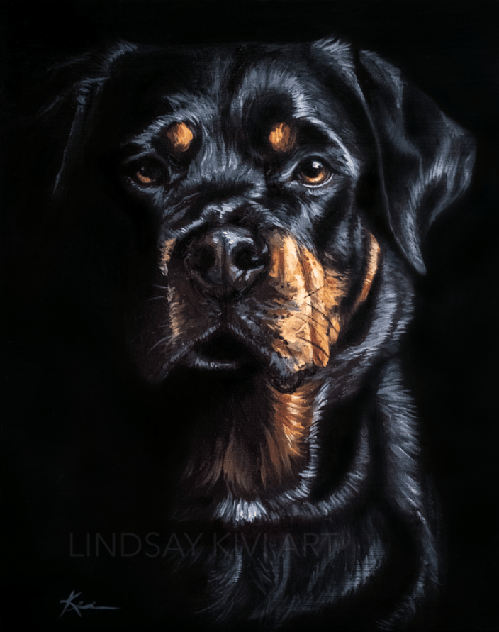 Rottweiler