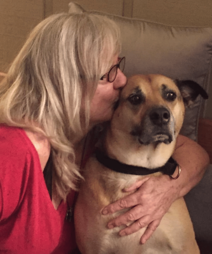 Animal Reiki
