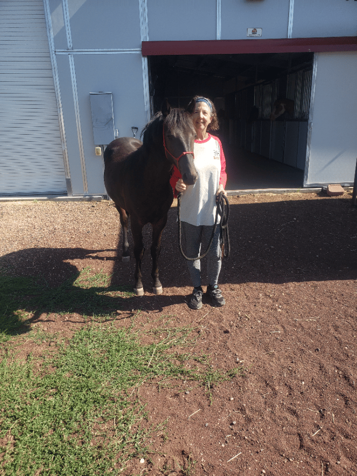 Spirit, a White Mountain Wild Horse, who was rescue in 2023 after his herd left him. This picture was taken when Teri Ann returned in July of 2024