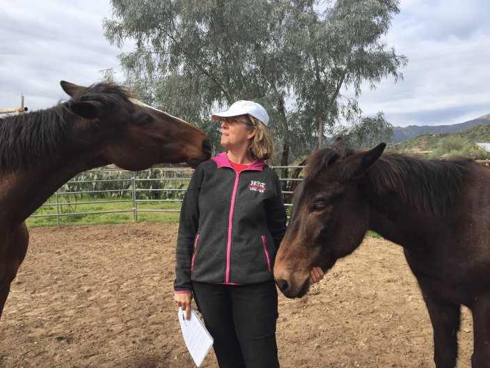 Animals, big & large, are always curious and drawn to Teri Ann