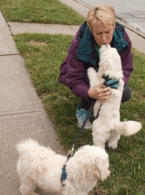 Walker and Pups