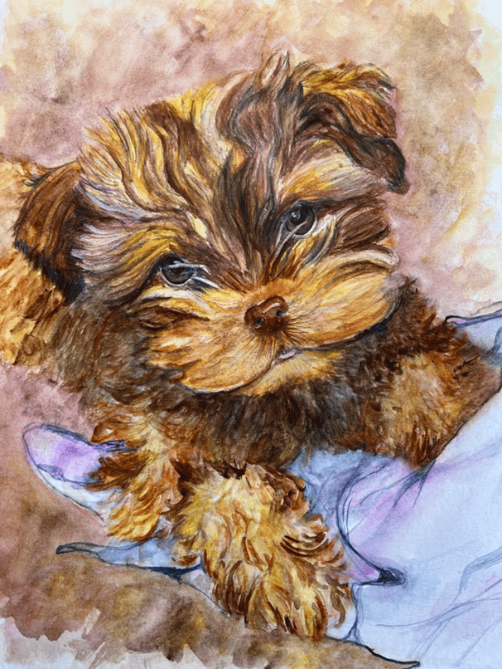 Puppy