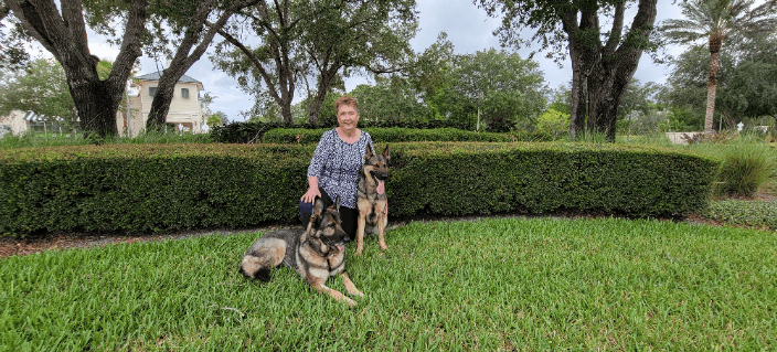me and my dogs
