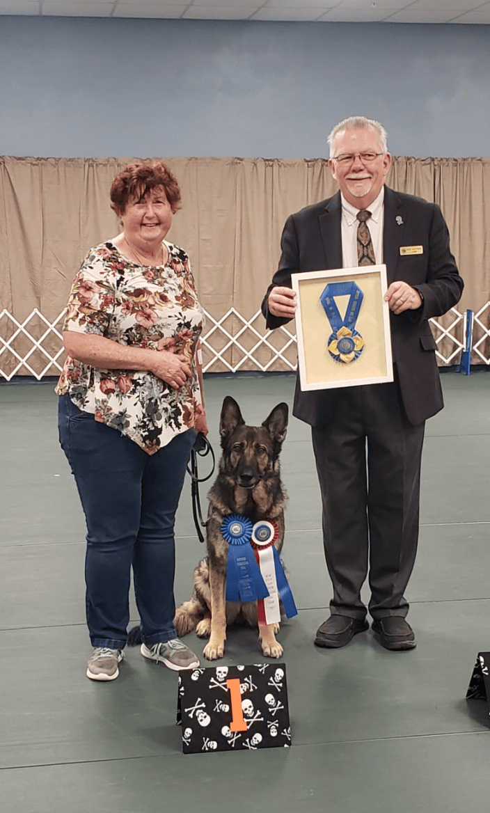 High In Trial AKC Award