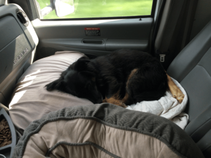 Traveling across country.