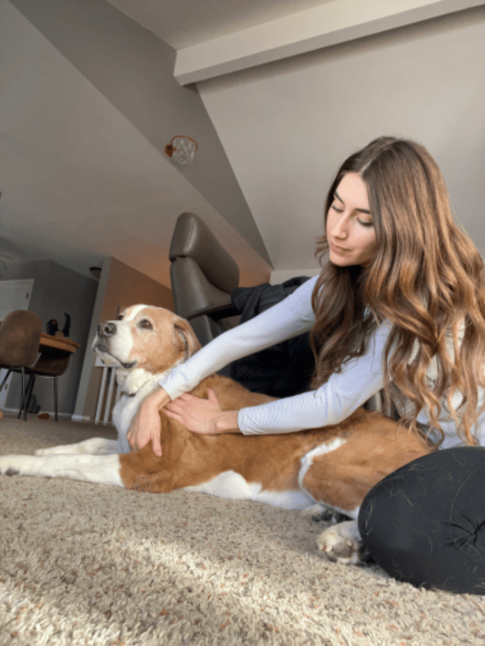 Stunning Stella and her weekly massage and Reiki therapy for her arthritis
