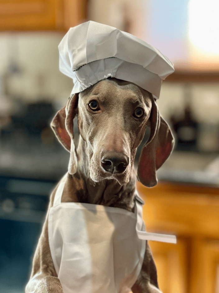 Chef Grit limited ingredient treats