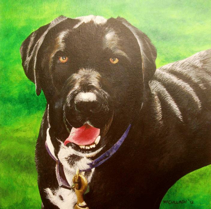 Pooch Dog