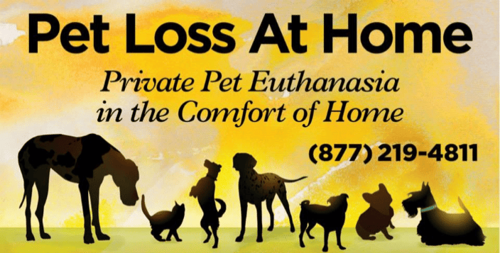 in home pet euthanasia