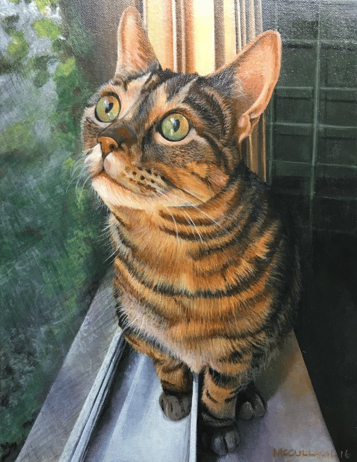 Kara’s Kitty 