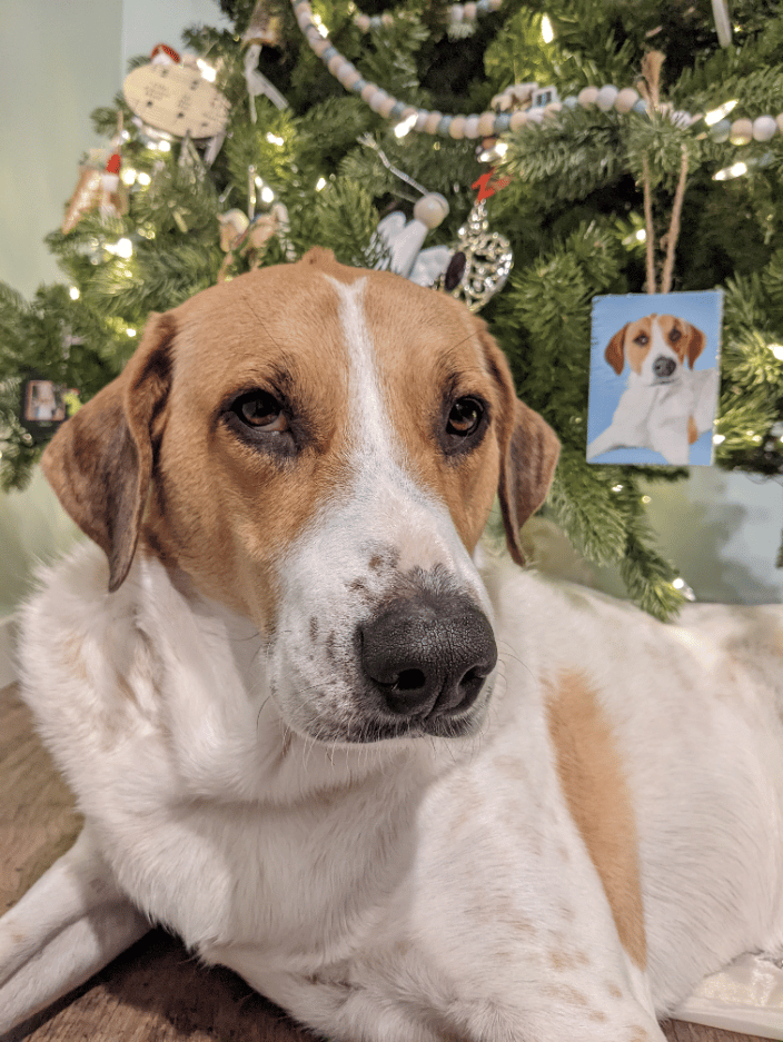 Hazel and the ornament that started it all
