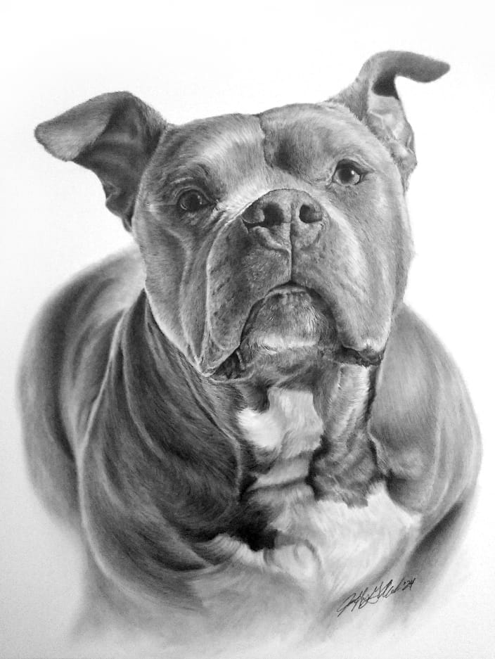 fantastic reference photo for this illustration
