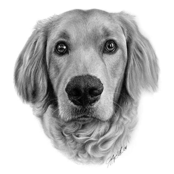 Loved drawing this highly detailed photo of Gracey