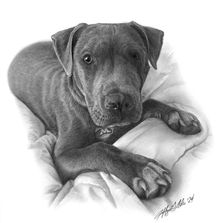 Katie, such a pretty pup and alot of fun to draw