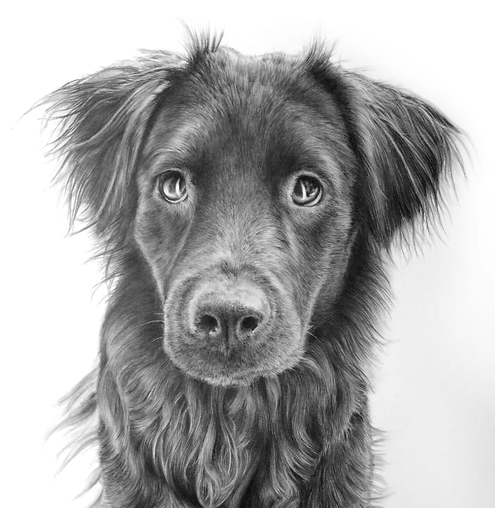 Shelly, such a sweet pup