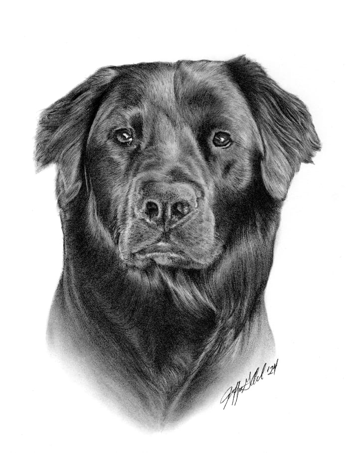 Loved drawing this black silky fur