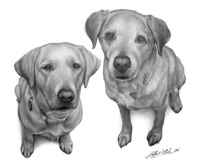 Dawn was amazing to work with combining these two pups