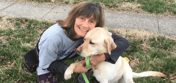 Best Paw Forward K9 Training