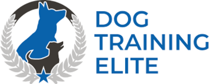 Dog Training Elite - Richmond VA