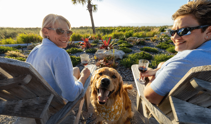 Elite Dog Training Richmond Virginia