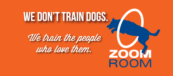 Zoom Room Dog Training