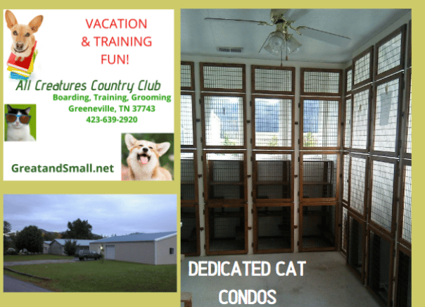 The Cattery and out the Window the Training Center