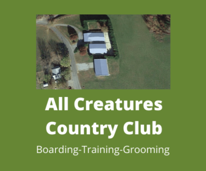 All Creatures Dog Training Tennessee