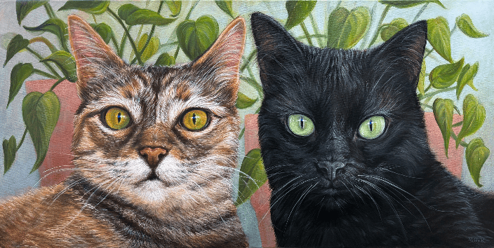 Cats
