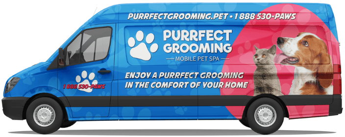 Purrfect Grooming Mobile Pet Groomers Miami FL
