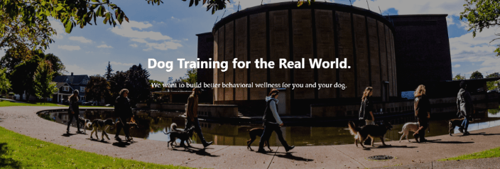 K9 Connection - Dog Trainer Buffalo NY