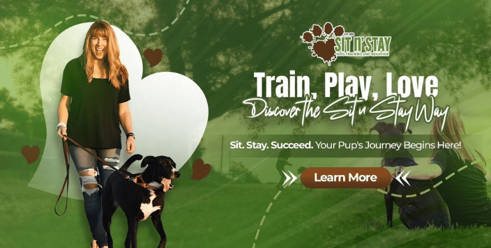 Sit n Stay Dog Trainers Buffalo NY