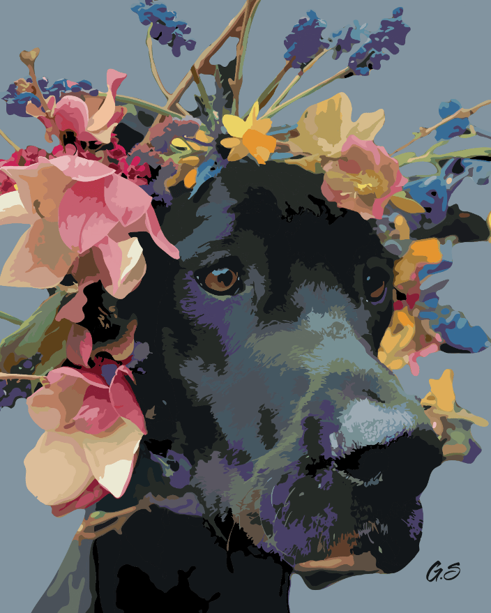 Tilly - Pet Portrait