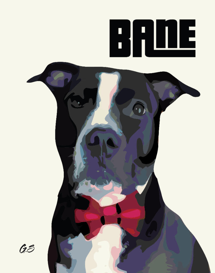 Bane - Pet Portrait