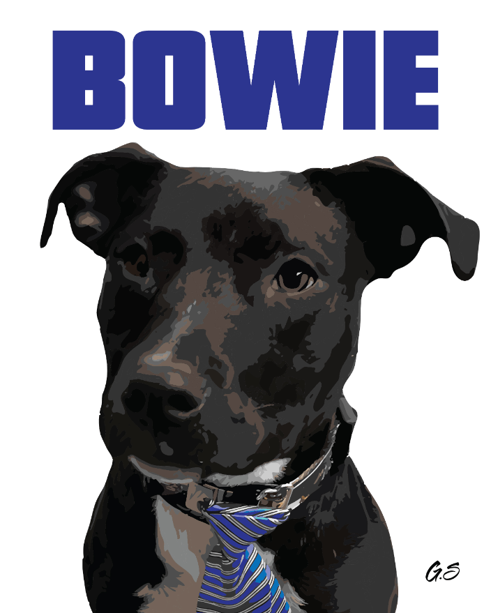 Bowie - Pet Portrait